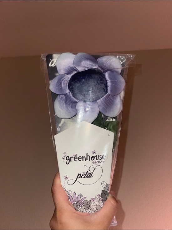 Ariana Grande Other - Ariana Grande Purple and Black Petal Flower Greenhouse “Russ” X Ariana Grande